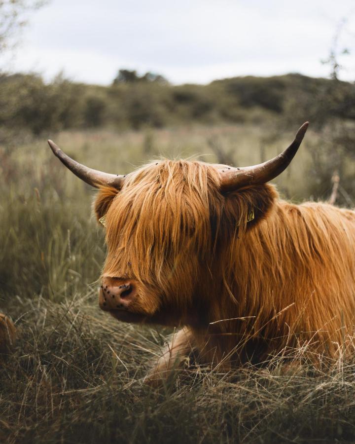 Islas Cottage, A Home In The Heart Of Speyside ダフタウン エクステリア 写真